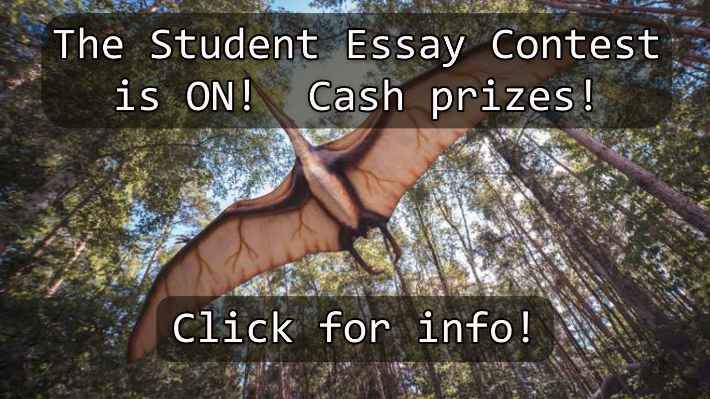 Image of pterodactyle flying overhead through forest. Click for info on the Student Essay Contest!