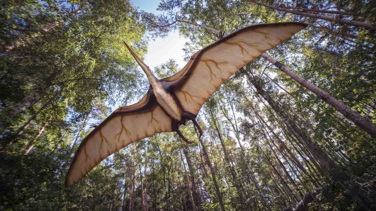 Image of pterodactyle flying overhead in a forest