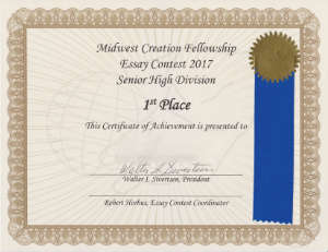 Image of Winner's certificate