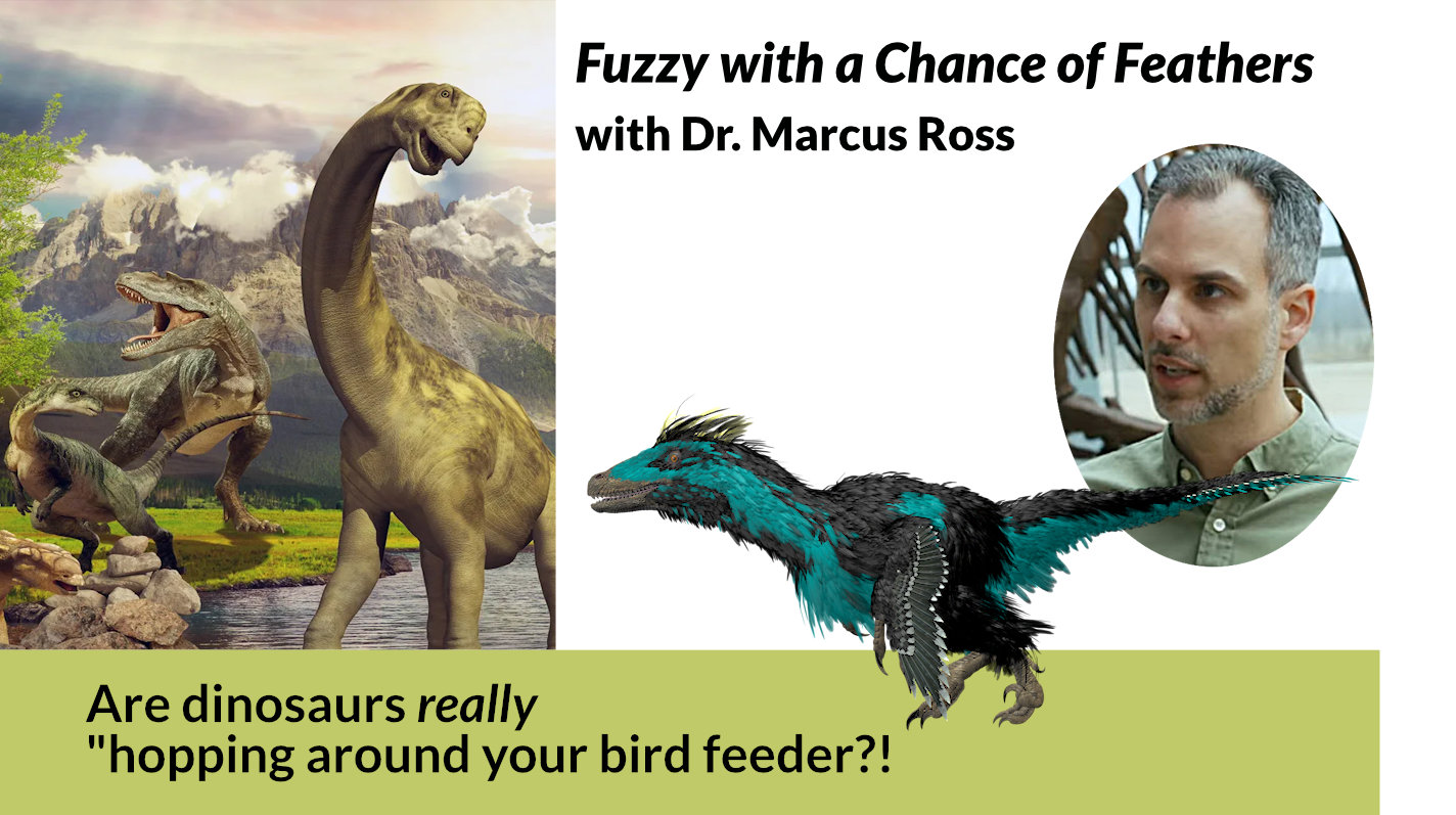 Fuzzy with a Chance of Feathers, with Dr.  Ross. Picture of speaker. Click for his bio.
